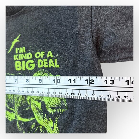 Dinosaur TREX Denver Nature and Science Museum Glow Shirt Green Gray Youth Small - Picture 5 of 12